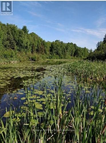 445 Fox Run, Temagami, ON 