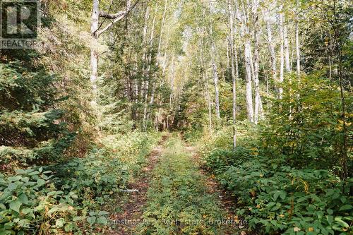 445 Fox Run, Temagami, ON 
