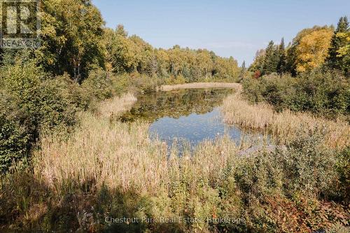 445 Fox Run, Temagami, ON 