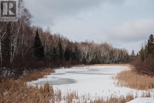 445 Fox Run, Temagami, ON 