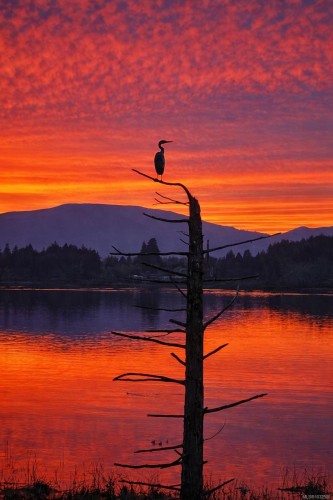 1855 Westlock Rd, Duncan, BC 