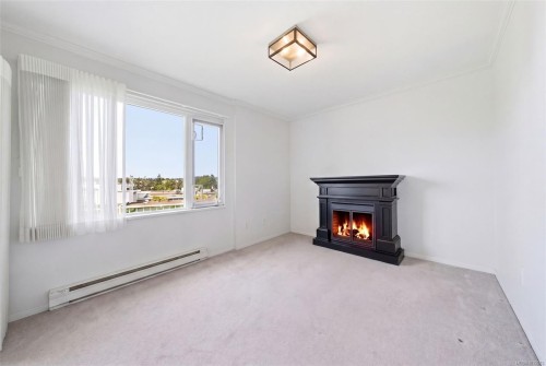 308-103 Gorge Rd East, Victoria, BC - Indoor With Fireplace