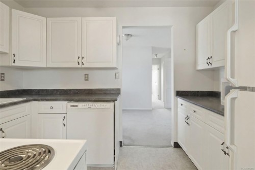 308-103 Gorge Rd East, Victoria, BC - Indoor Photo Showing Kitchen