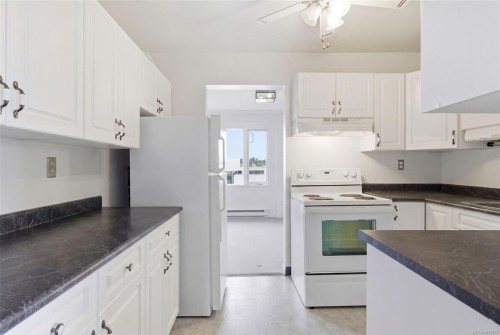 308-103 Gorge Rd East, Victoria, BC - Indoor Photo Showing Kitchen
