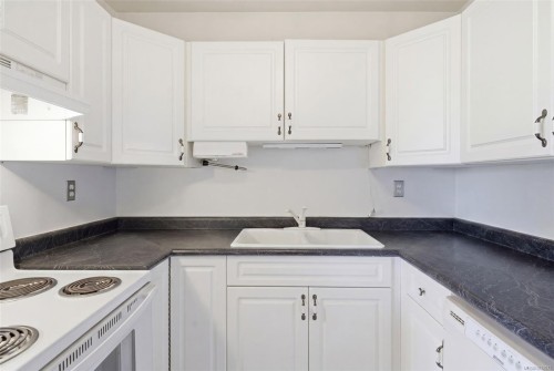 308-103 Gorge Rd East, Victoria, BC - Indoor Photo Showing Kitchen