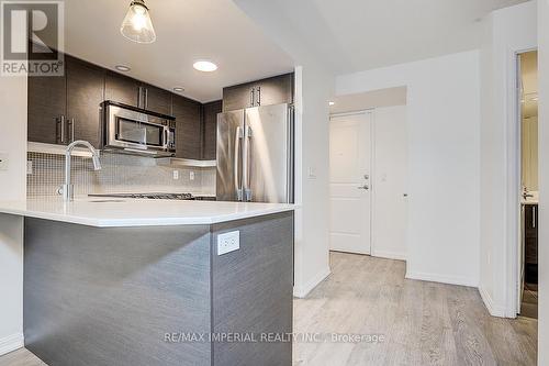 417 - 65 East Liberty Street, Toronto, ON - Indoor Photo Showing Kitchen With Upgraded Kitchen