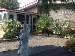 Courtyard - 