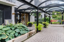 Jardin - 