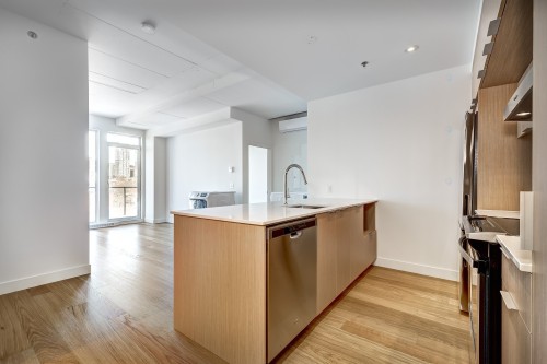 Vue d'ensemble - 613-385 Rue St-Martin, Montréal (Le Sud-Ouest), QC - Indoor Photo Showing Kitchen