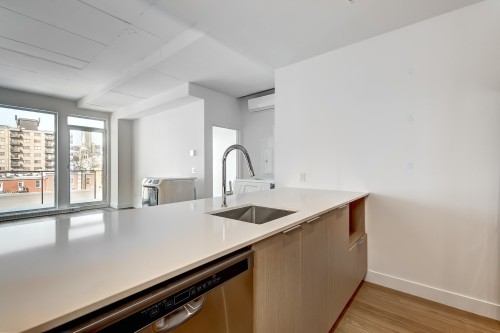 Cuisine - 613-385 Rue St-Martin, Montréal (Le Sud-Ouest), QC - Indoor Photo Showing Kitchen With Upgraded Kitchen