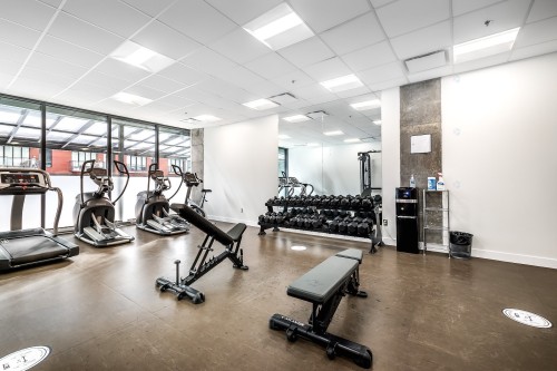 Salle d'exercice - 613-385 Rue St-Martin, Montréal (Le Sud-Ouest), QC - Indoor Photo Showing Gym Room
