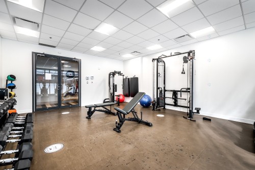 Salle d'exercice - 613-385 Rue St-Martin, Montréal (Le Sud-Ouest), QC - Indoor Photo Showing Gym Room