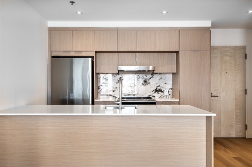 Cuisine - 613-385 Rue St-Martin, Montréal (Le Sud-Ouest), QC - Indoor Photo Showing Kitchen With Upgraded Kitchen