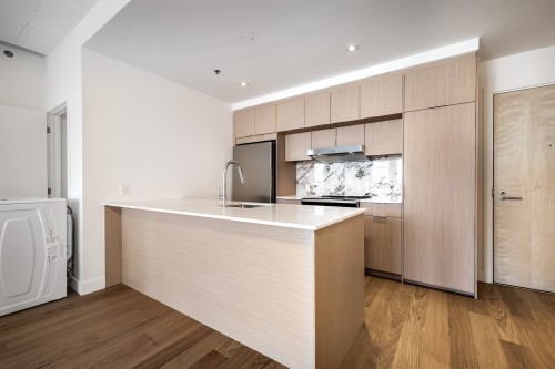 Cuisine - 613-385 Rue St-Martin, Montréal (Le Sud-Ouest), QC - Indoor Photo Showing Kitchen