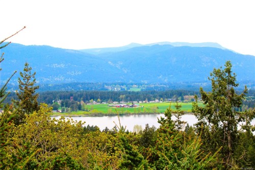 6246 Lower Chippewa Rd, Duncan, BC 