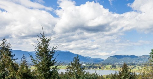 6246 Lower Chippewa Rd, Duncan, BC 