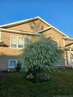 210 Lorette Dieppe, NB E1A 0E2