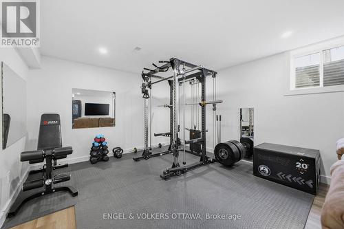 139 Switch Grass Crescent, Ottawa, ON - Indoor Photo Showing Gym Room