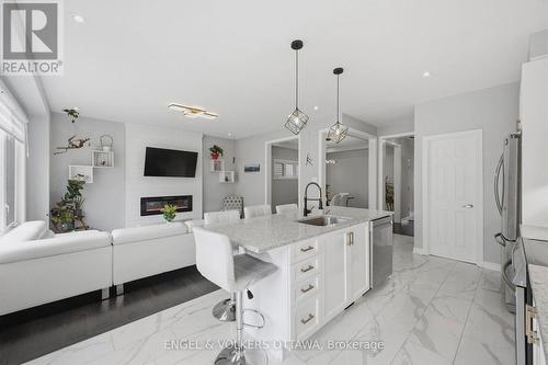 139 Switch Grass Crescent, Ottawa, ON - Indoor With Fireplace