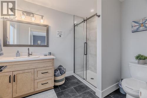 24 Donegal Run, St. John'S, NL - Indoor Photo Showing Bathroom
