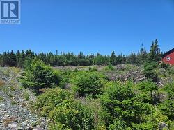 Lot 5 Edgewater Lane Torbay, NL A1K 0G9