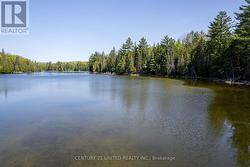 0 JOHNSON ROAD North Kawartha, ON K0L 1A0