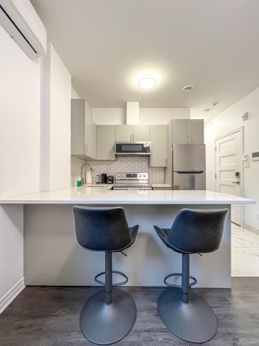 Kitchen - 302-1672 Rue St-Denis, Montréal (Ville-Marie), QC - Indoor Photo Showing Kitchen With Upgraded Kitchen