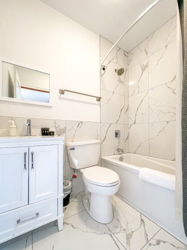 Bathroom - 303-1672 Rue St-Denis, Montréal (Le Plateau-Mont-Royal), QC - Indoor Photo Showing Bathroom