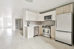 2133 Rue Aylwin Montréal (Mercier/Hochelaga-Maisonneuve), QC H1W 3C7