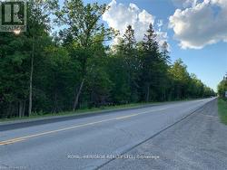 0 PT LT 32 COUNTY ROAD 49 ROAD Trent Lakes, ON K0M 1A0