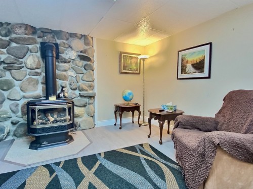 Family Room - 111 Rue D'Iberville, Cowansville, QC - Indoor Photo Showing Living Room With Fireplace