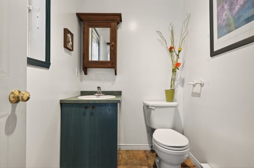 Salle d'eau - 566 Rue Félix-Leclerc, Saint-Eustache, QC - Indoor Photo Showing Bathroom