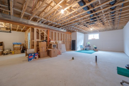 Sous-sol - 77 Rue Como-Gardens, Hudson, QC - Indoor Photo Showing Basement