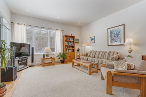 Salon - 77 Rue Como-Gardens, Hudson, QC - Indoor Photo Showing Living Room