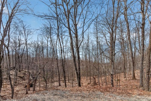 Terre/Terrain - 15 Rue De St-Moritz, Cantley, QC 