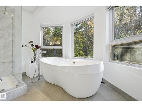 10065 90 Av Nw, Edmonton, AB - Indoor Photo Showing Bathroom