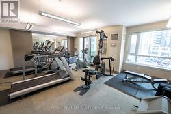 Gym - 