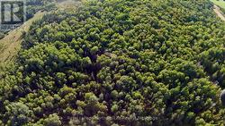 799 MAPLE HILL ROAD  Powassan, ON P0H 1Z0