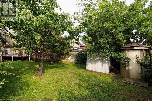 Expansive grassy yard featuring mature trees, a multi-level wood deck, a wood-paneled shed, and a hexagonal gazebo - 205 Duke Street E, Kitchener, ON - Outdoor