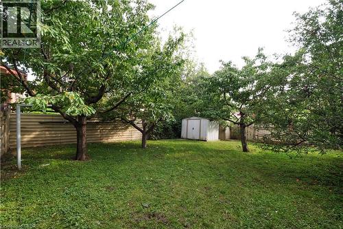Expansive green lawn featuring mature trees and a metal storage shed - 205 Duke Street E, Kitchener, ON - Outdoor