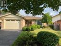 Summer Picture - 7 Kilkerran Crescent, Kitchener, ON  - Outdoor 