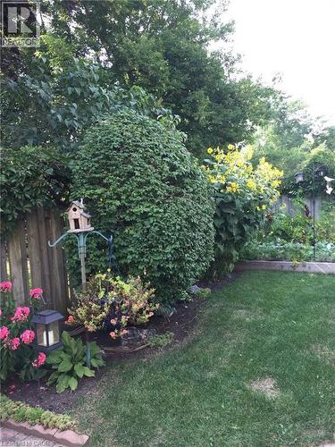Gardens in Summer - 7 Kilkerran Crescent, Kitchener, ON - Outdoor