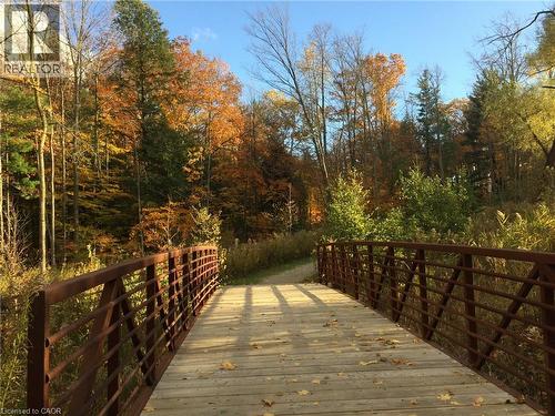 Beautiful Fall Colours - 7 Kilkerran Crescent, Kitchener, ON - Outdoor