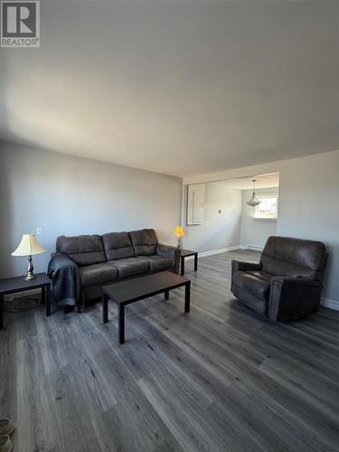 5 Grades Road, Cow Head, NL - Indoor Photo Showing Living Room
