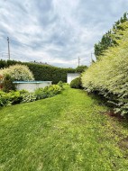 Courtyard - 