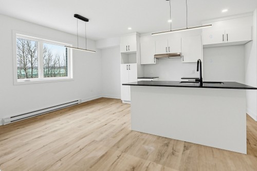 Vue d'ensemble - 8-70 Rue Alexandre, Lachute, QC - Indoor Photo Showing Kitchen