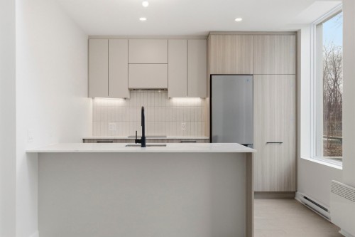 Kitchen - 105-5606 Av. Pierre-De Coubertin, Montréal-Est, QC - Indoor Photo Showing Kitchen With Upgraded Kitchen