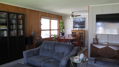 119 2Nd Avenue, Nakusp, BC - Indoor Photo Showing Living Room