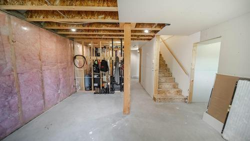 9934 Osprey Landing Drive, Wardner, BC - Indoor Photo Showing Basement