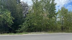 Lot 389 Anglemont Way  Anglemont, BC V0E 1M8